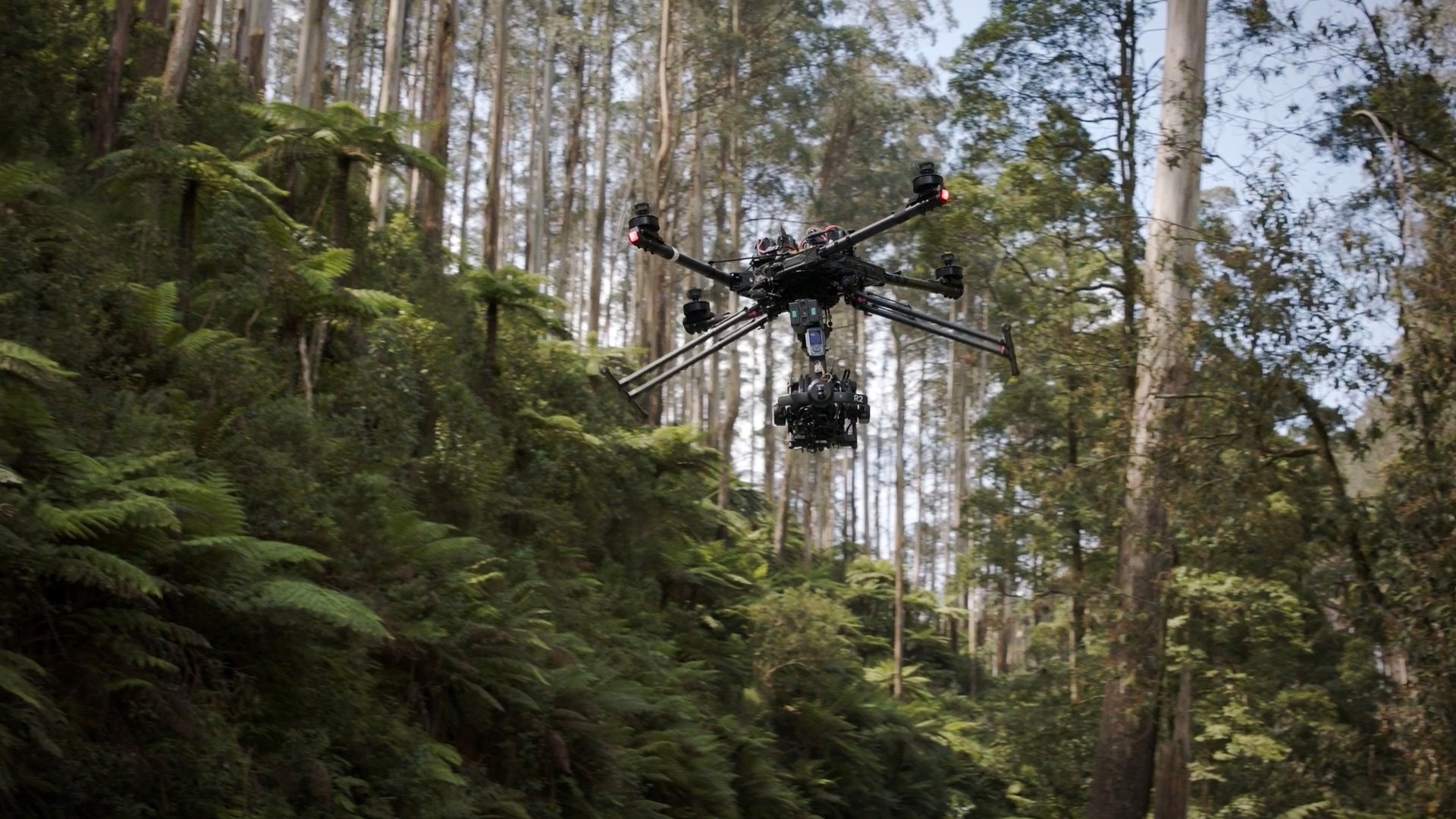 09-Rule-Camera-Arm-Cars-GWM-Brand-Value-BTS-Rule